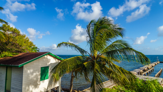 beach shack.png